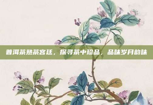普洱茶熟茶宫廷,探寻茶中珍品,品味岁月韵味