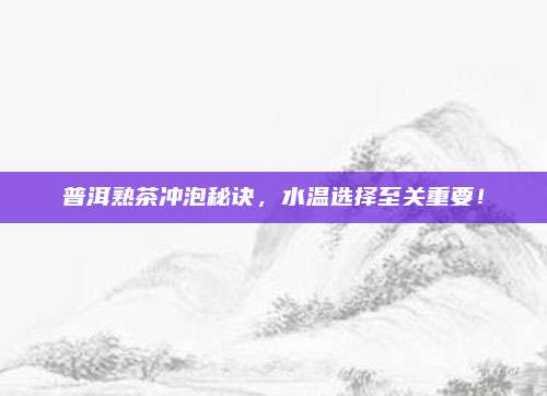 普洱熟茶冲泡秘诀，水温选择至关重要！