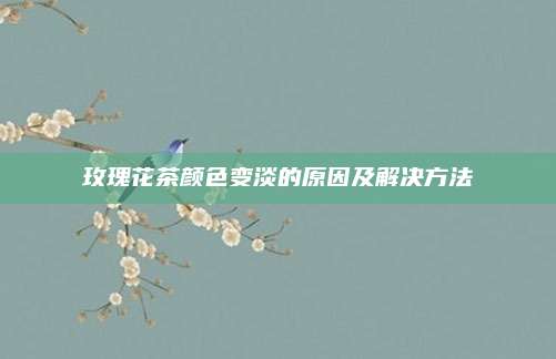 玫瑰花茶颜色变淡的原因及解决方法
