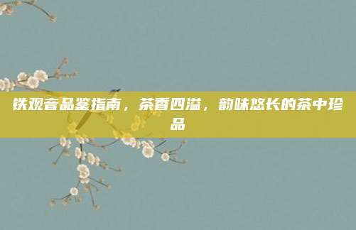 铁观音品鉴指南，茶香四溢，韵味悠长的茶中珍品