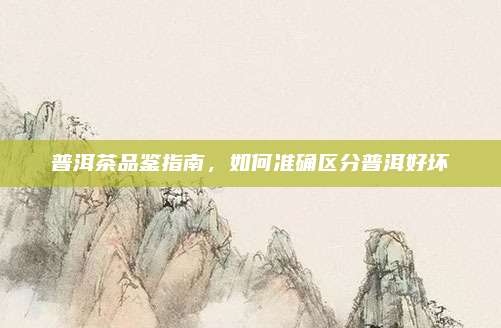 普洱茶品鉴指南，如何准确区分普洱好坏