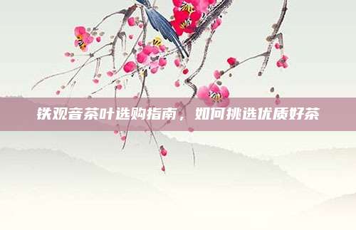 铁观音茶叶选购指南，如何挑选优质好茶