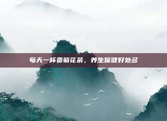 每天一杯贡菊花茶，养生保健好处多