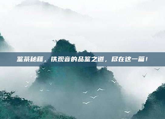 鉴茶秘籍,铁观音的品鉴之道,尽在这一篇!