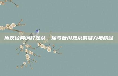 博友经典演绎熟茶,探寻普洱熟茶的魅力与精髓