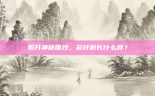 揭开神秘面纱,茶叶树长什么样?