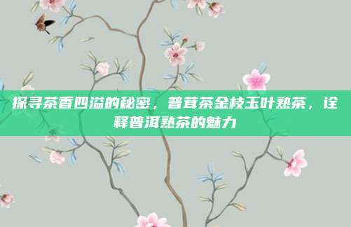 探寻茶香四溢的秘密,普茸茶金枝玉叶熟茶,诠释普洱熟茶的魅力