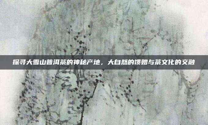 探寻大雪山普洱茶的神秘产地，大自然的馈赠与茶文化的交融