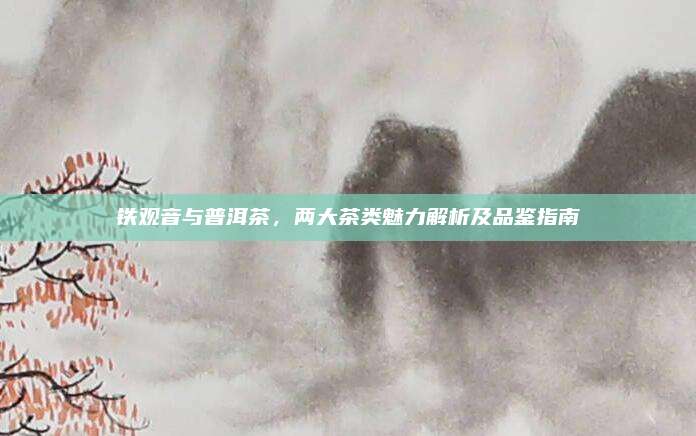 铁观音与普洱茶，两大茶类魅力解析及品鉴指南