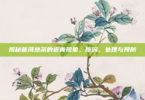 揭秘普洱熟茶的返青现象，原因、处理与预防