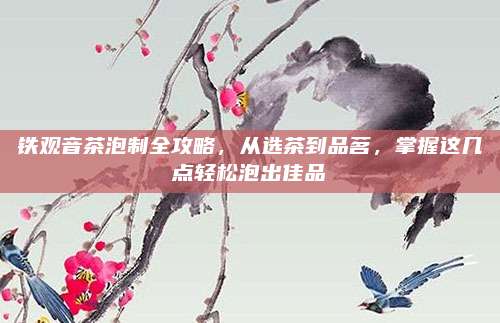 铁观音茶泡制全攻略,从选茶到品茗,掌握这几点轻松泡出佳品
