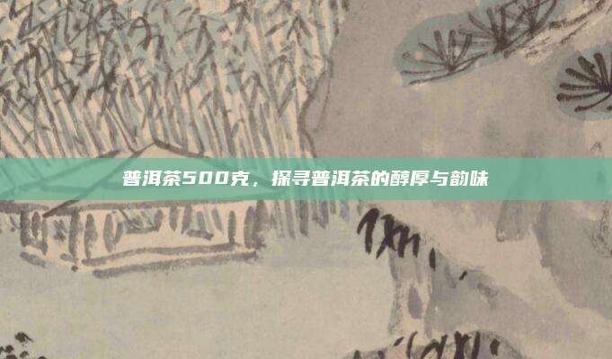 普洱茶500克，探寻普洱茶的醇厚与韵味