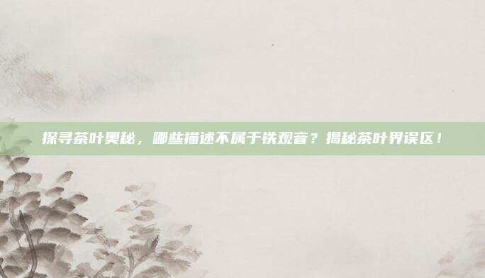 探寻茶叶奥秘，哪些描述不属于铁观音？揭秘茶叶界误区！