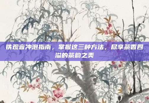 铁观音冲泡指南，掌握这三种方法，尽享茶香四溢的茶韵之美