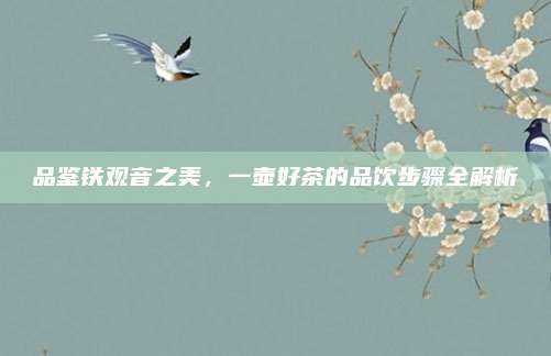 品鉴铁观音之美,一壶好茶的品饮步骤全解析