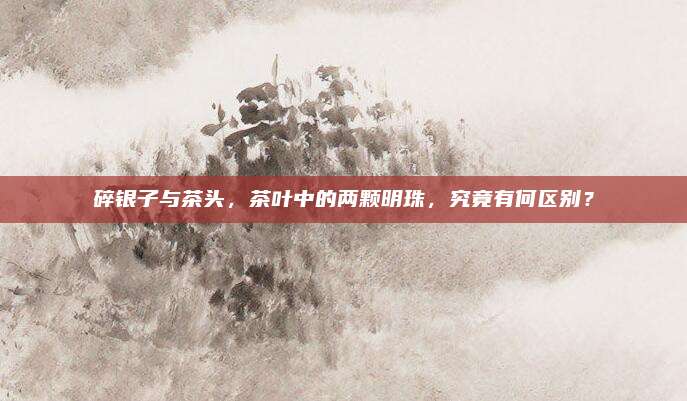 碎银子与茶头,茶叶中的两颗明珠,究竟有何区别?