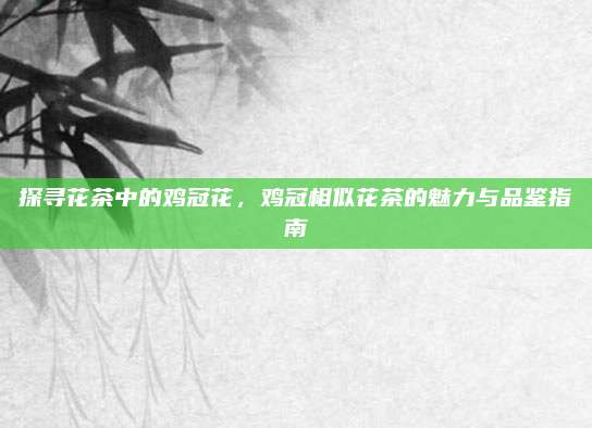 探寻花茶中的鸡冠花,鸡冠相似花茶的魅力与品鉴指南