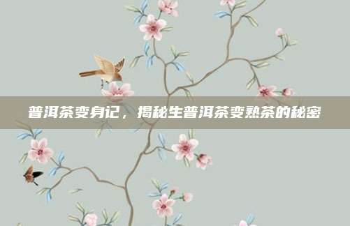 普洱茶变身记，揭秘生普洱茶变熟茶的秘密