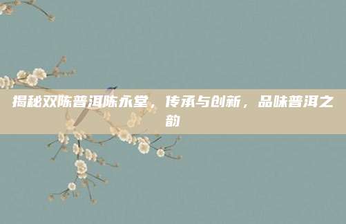 揭秘双陈普洱陈永堂,传承与创新,品味普洱之韵