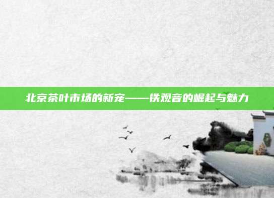 北京茶叶市场的新宠——铁观音的崛起与魅力