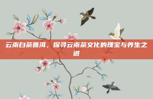 云南白茶普洱，探寻云南茶文化的瑰宝与养生之道