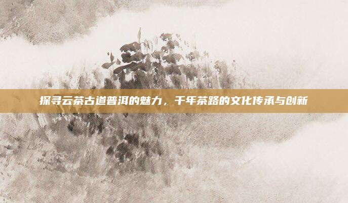 探寻云茶古道普洱的魅力,千年茶路的文化传承与创新