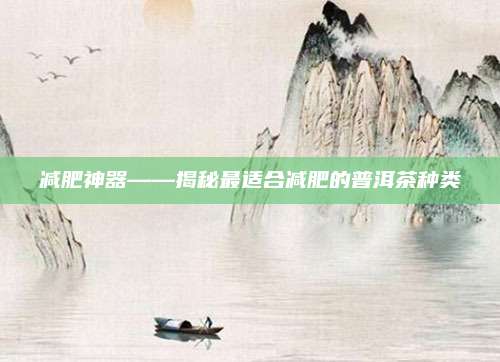 减肥神器——揭秘最适合减肥的普洱茶种类