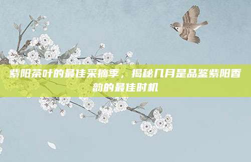 紫阳茶叶的最佳采摘季，揭秘几月是品鉴紫阳香韵的最佳时机