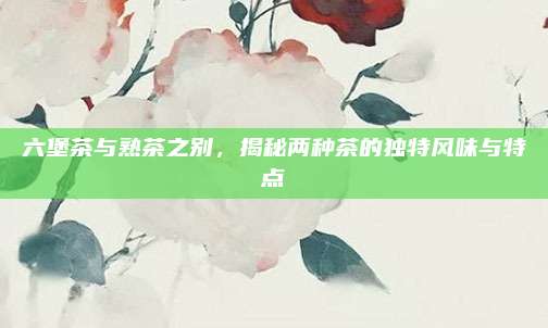 六堡茶与熟茶之别,揭秘两种茶的独特风味与特点