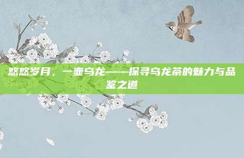悠悠岁月,一壶乌龙——探寻乌龙茶的魅力与品鉴之道