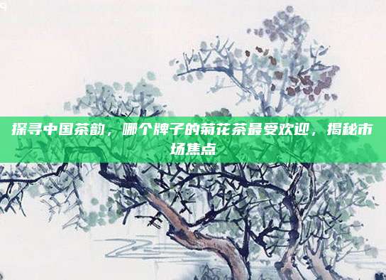 探寻中国茶韵,哪个牌子的菊花茶最受欢迎,揭秘市场焦点