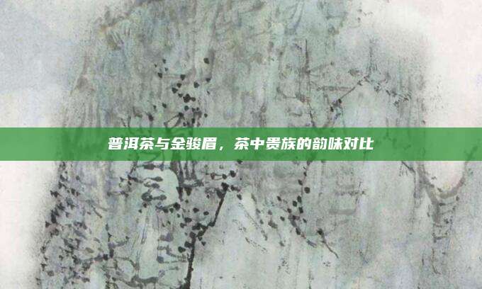 普洱茶与金骏眉，茶中贵族的韵味对比