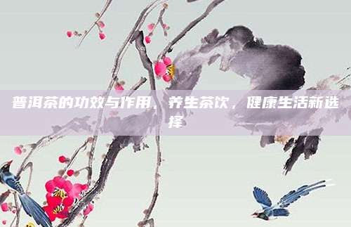 普洱茶的功效与作用，养生茶饮，健康生活新选择