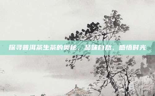 探寻普洱茶生茶的奥秘，品味自然，感悟时光