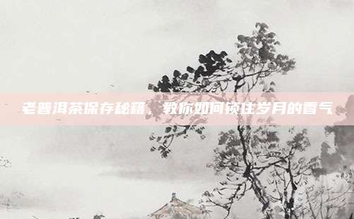 老普洱茶保存秘籍，教你如何锁住岁月的香气