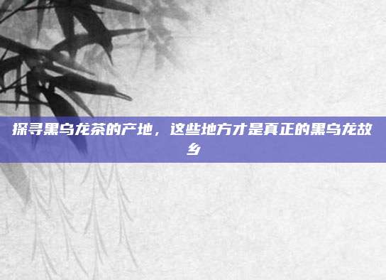 探寻黑乌龙茶的产地，这些地方才是真正的黑乌龙故乡