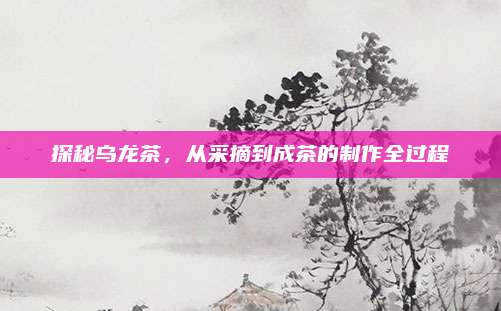探秘乌龙茶，从采摘到成茶的制作全过程