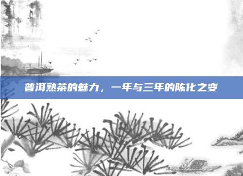 普洱熟茶的魅力，一年与三年的陈化之变