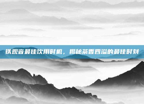 铁观音最佳饮用时机,揭秘茶香四溢的最佳时刻