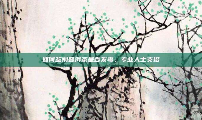 如何鉴别普洱茶是否发霉，专业人士支招
