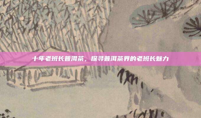 十年老班长普洱茶,探寻普洱茶界的老班长魅力