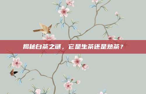 揭秘白茶之谜，它是生茶还是熟茶？