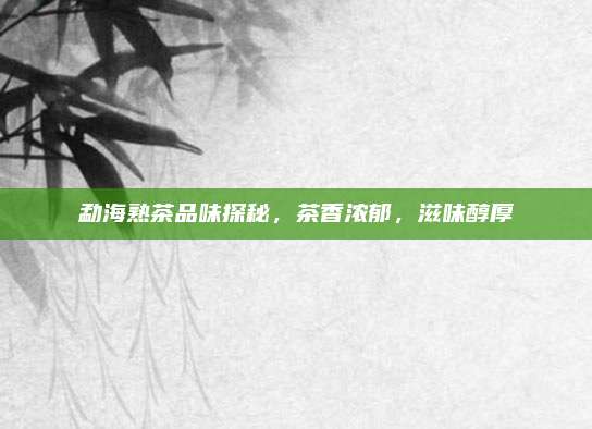 勐海熟茶品味探秘，茶香浓郁，滋味醇厚