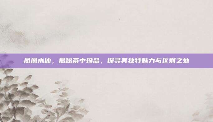 凤凰水仙，揭秘茶中珍品，探寻其独特魅力与区别之处