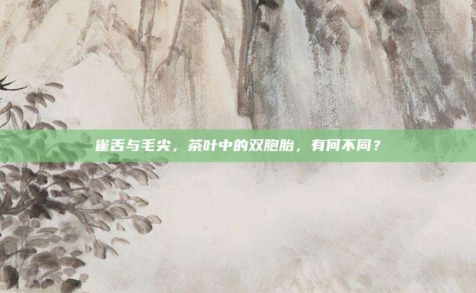 雀舌与毛尖，茶叶中的双胞胎，有何不同？