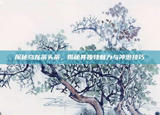 探秘乌龙茶头茶，揭秘其独特魅力与冲泡技巧