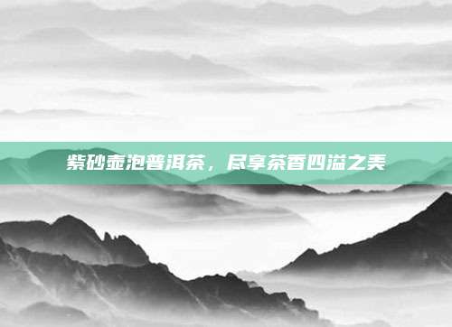 紫砂壶泡普洱茶，尽享茶香四溢之美