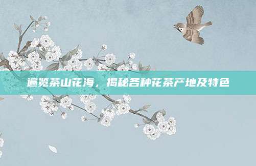遍览茶山花海，揭秘各种花茶产地及特色