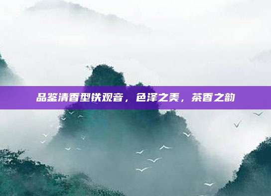 品鉴清香型铁观音，色泽之美，茶香之韵