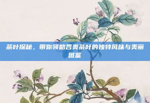 茶叶探秘，带你领略各类茶叶的独特风味与美丽图鉴